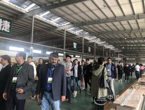 “一带一路”国家林业产能合作官员前来兔宝宝木门参观考察