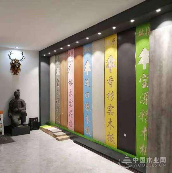 全面拥抱品牌时代，广西林槿木业与中国木业网达成合作！