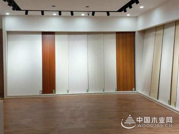 品牌建设迈上新台阶 中湘家美广告荣登央视