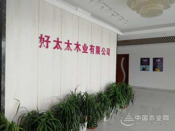 携手明天掘金未来 为好太太板材打call