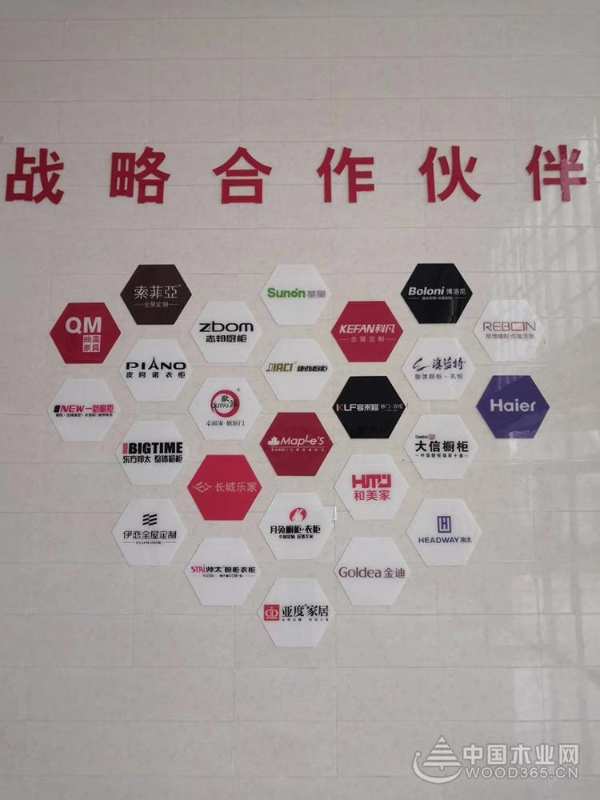龙洋木业董事长王社平先生一行到访佳诺威集团