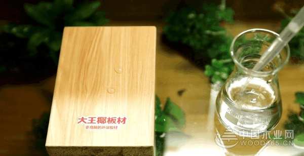 耐水防潮还能养鱼？大王椰板材有点“牛”！