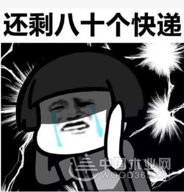 双十一又来了，兔宝宝给你揭秘买什么不后悔