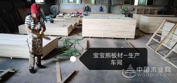 志同道合共襄未来 宝宝熊板材诚邀您的加盟