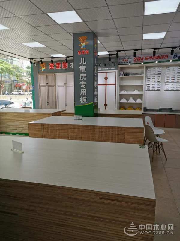 志同道合共襄未来 宝宝熊板材诚邀您的加盟