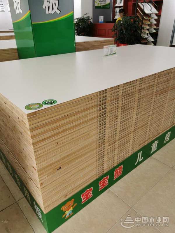 志同道合共襄未来 宝宝熊板材诚邀您的加盟
