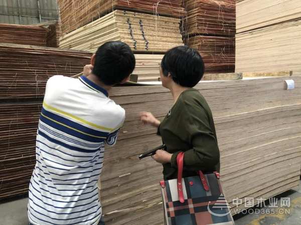 精英齐聚 鹏森缘城市合伙人见面会成功召开