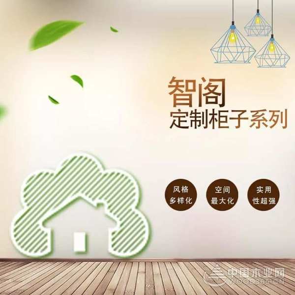 智阁定制|家里不能少的收纳柜