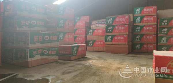 相辅相成 孔氏携手中国木业网共塑品牌未来