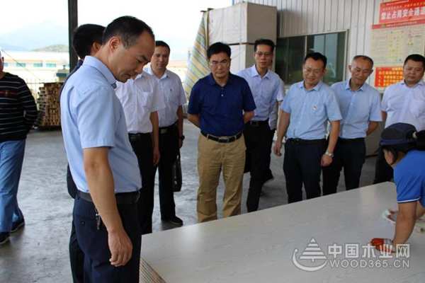 邵阳市人民银行行长李贤智、新宁县委常委、常务副县长谢小军 一行莅临红崀山木业调研