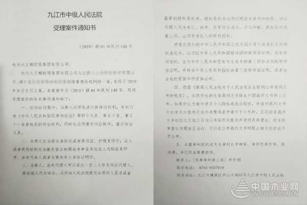 打假维权，坚持正版 | 大王椰板材“雷霆行动”，为维护消费者权益亮剑！