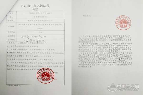 打假维权，坚持正版 | 大王椰板材“雷霆行动”，为维护消费者权益亮剑！