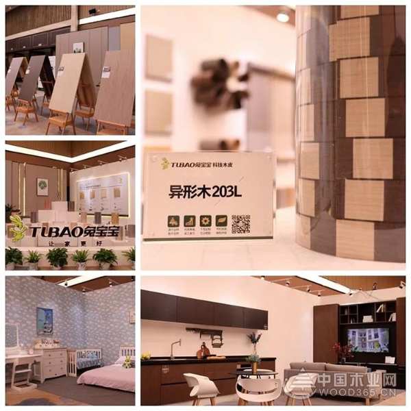 “和而不同·装饰之美”2019年浙江省建筑装饰兔宝宝·设计和美大赛成功举办