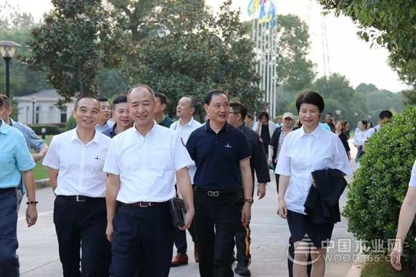 “和而不同·装饰之美”2019年浙江省建筑装饰兔宝宝·设计和美大赛成功举办