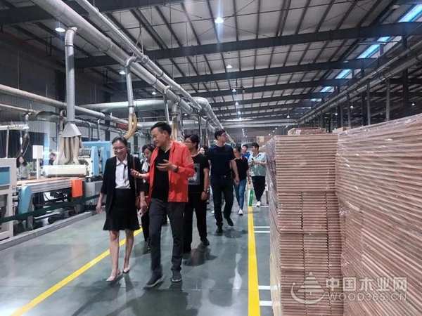 “和而不同·装饰之美”2019年浙江省建筑装饰兔宝宝·设计和美大赛成功举办