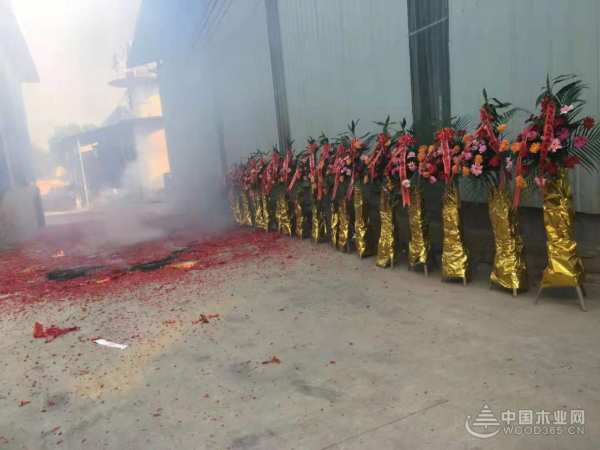 发展势如破竹 鹏森缘旗下骊森科技有限公司正式成立