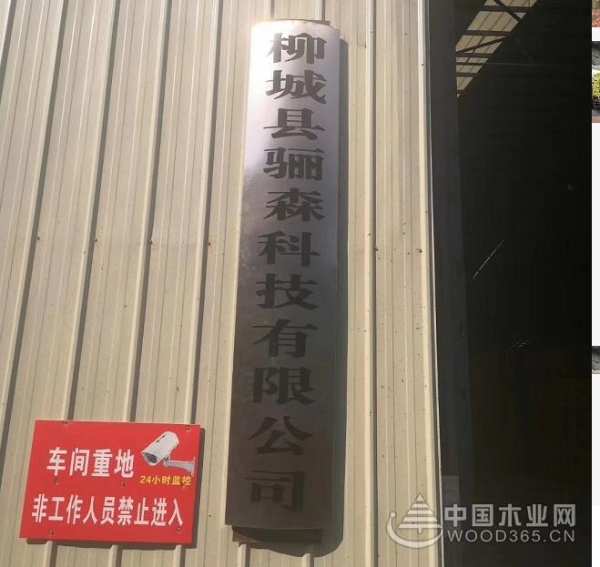 发展势如破竹 鹏森缘旗下骊森科技有限公司正式成立