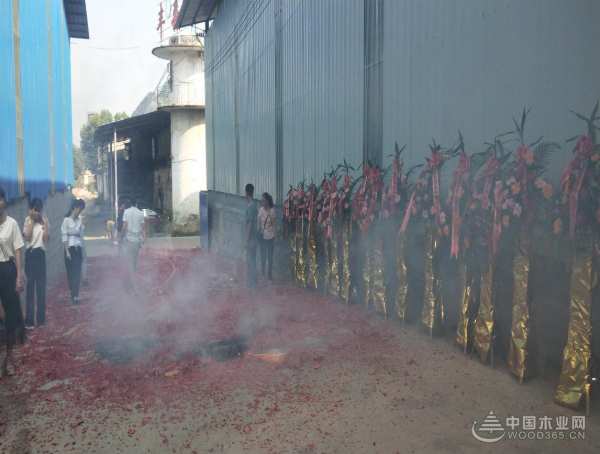 发展势如破竹 鹏森缘旗下骊森科技有限公司正式成立