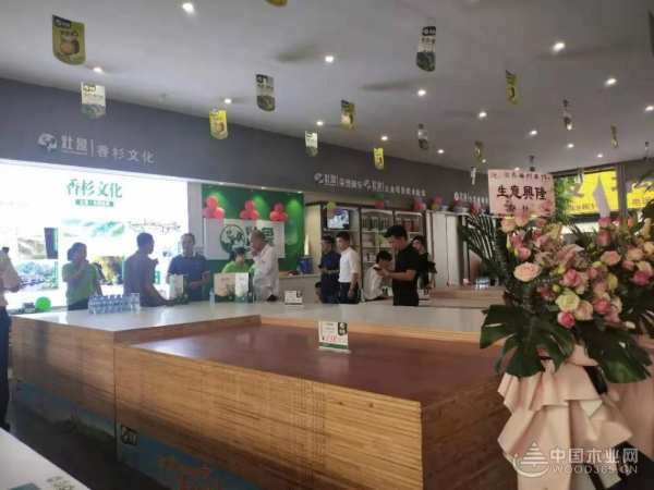 十大品牌壮象 百色运营中心盛大开业！