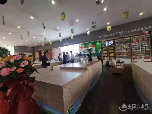 十大品牌壮象 百色运营中心盛大开业！