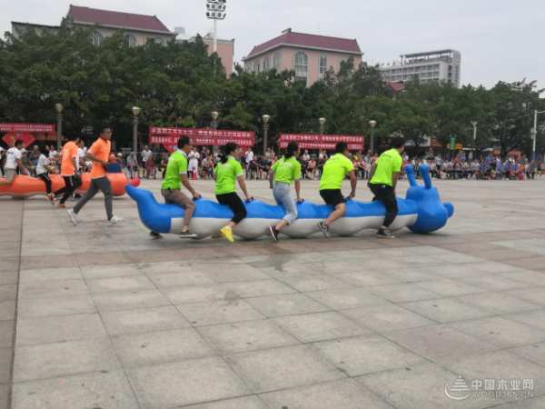 不忘初心 牢记使命 鹏森缘以行动庆祝建国70周年