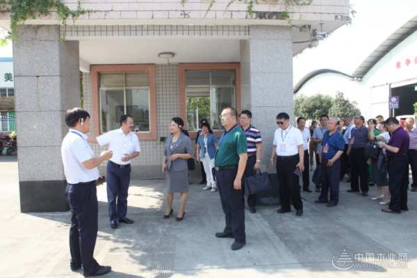 广西自治区政协代表团前往十大品牌壮象公司考察