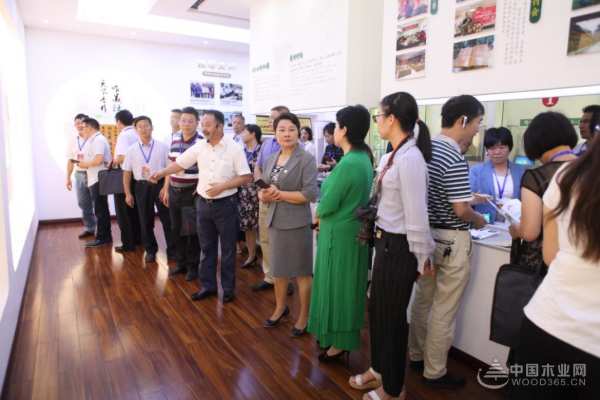 广西自治区政协代表团前往十大品牌壮象公司考察