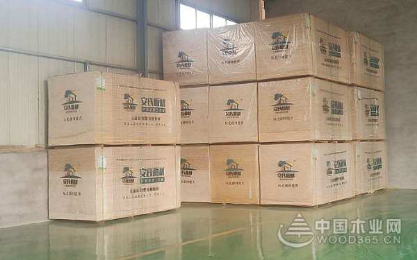 安氏亚森：践行环保 打造行业知名品牌