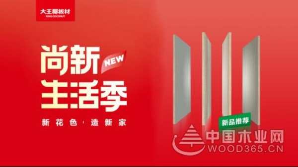 大王椰板材花色上新：精致布纹，用凝练朴实重塑个性家居！
