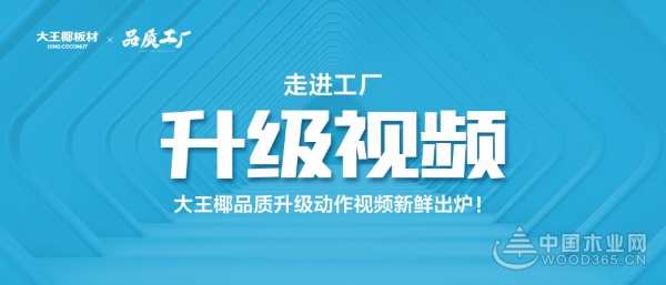 大王椰板材工厂升级视频来了，先睹为快！
