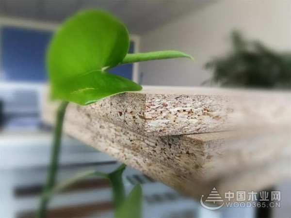 上海露水河公司不断提升为客户增值服务能力