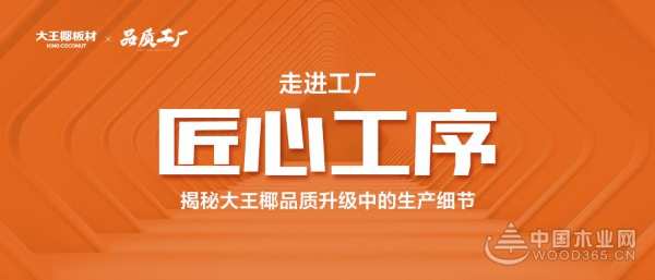 大王椰工厂品质升级，每个细节都推敲入微