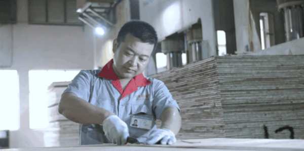 大王椰工厂品质升级，每个细节都推敲入微