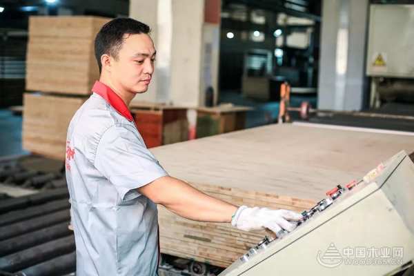 大王椰工厂实力加码，板材品质全面升级！
