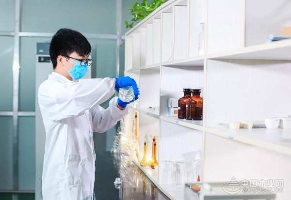 大王椰工厂实力加码，板材品质全面升级！