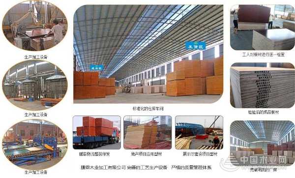 行业实力认证，鹏森缘加冕2019金匠榜“双料王”！