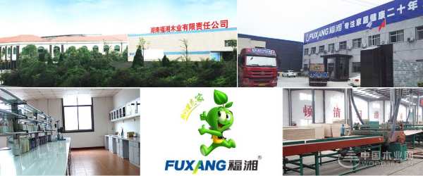 实力铸辉煌，福湘荣获2019中国板材金匠榜双项荣誉！