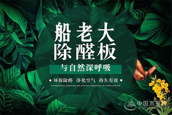 强势出击 船老大荣获“行业畅销板材十大品牌”！