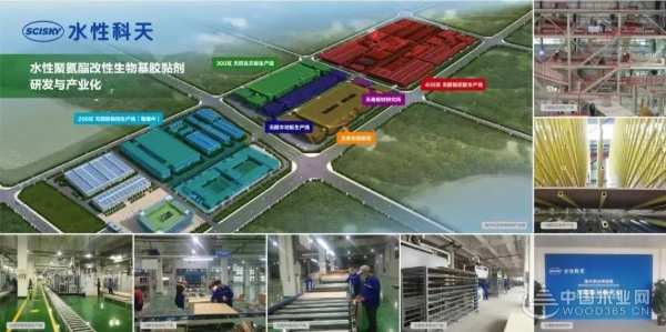 实力担当 水性科天荣膺2019金匠榜“消费者信赖板材十大品牌”