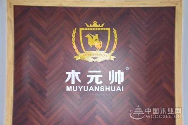 荣耀绽放 木元帅荣获消费者信赖十大品牌