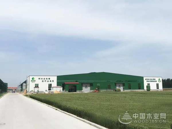 实力加冕 康贝德荣获投资价值板材十大品牌