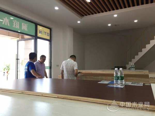 热烈祝贺洞庭木业株洲磐龙世纪城店隆重开业
