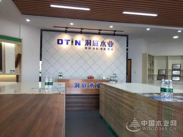 热烈祝贺洞庭木业株洲磐龙世纪城店隆重开业