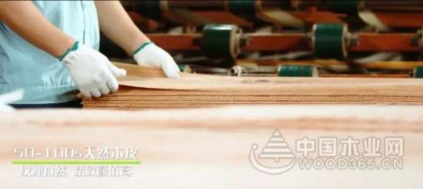 兔宝宝严把质量关 荣膺2019“全国质量检验稳定合格产品”称号