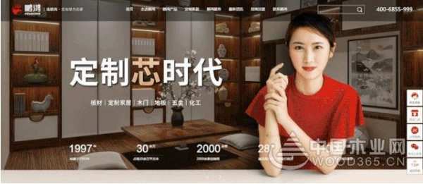 官网升级丨给你不一young的鹏鸿