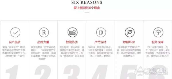 官网升级丨给你不一young的鹏鸿