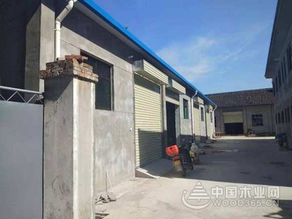 携手筑梦 绽放未来丨热烈庆祝鹏森缘陕西运营中心成立