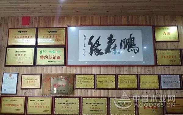 携手筑梦 绽放未来丨热烈庆祝鹏森缘陕西运营中心成立
