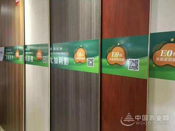 华森王板材新品发布暨香港汉森品牌启动招商大会成功举办！