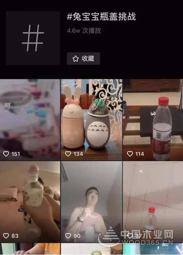 兔宝宝瓶盖挑战，等你来战